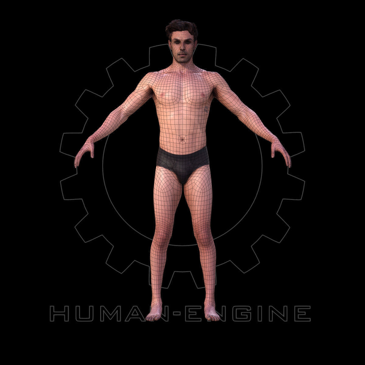 Male Scan - Dan RIGGED Low-poly 3D model_7