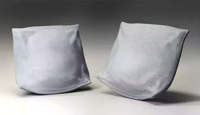 3D Pillow two silver bags 3D model