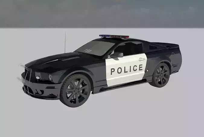 Police Car 
