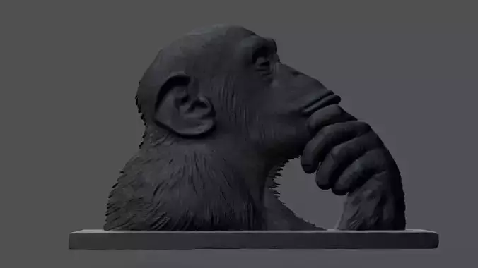 Chimpanzee statue 