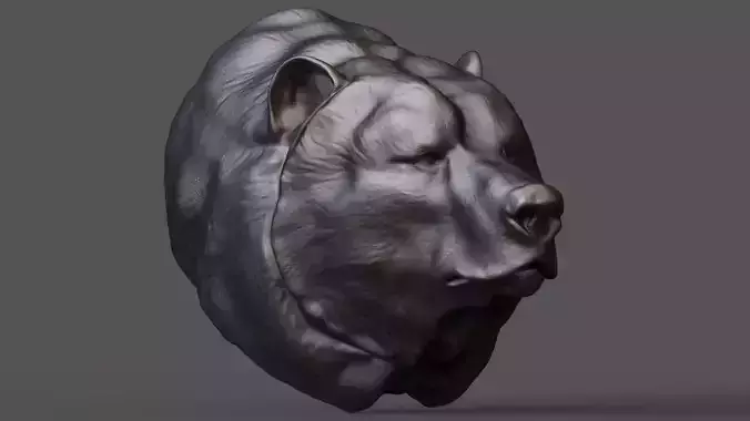 Bear head