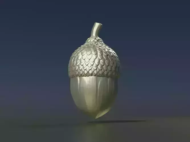 Acorn 3D print model