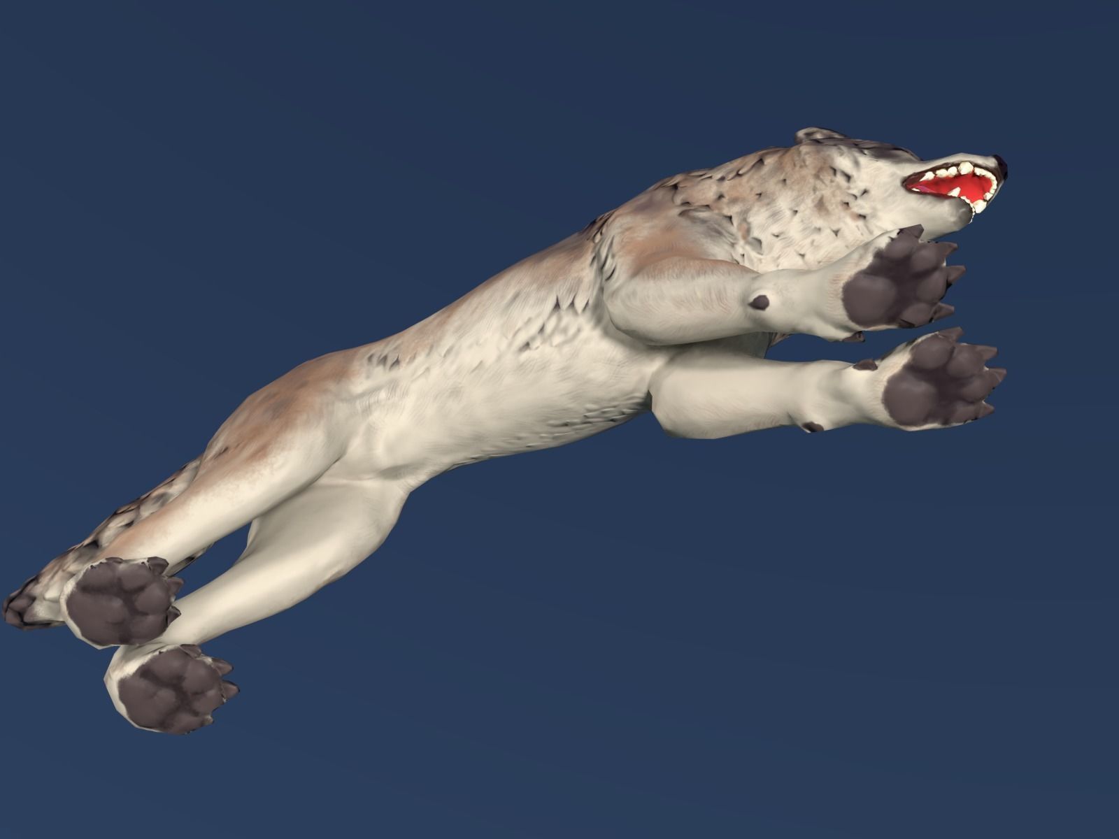 Wolf II Low Poly Low-poly 3D model_14