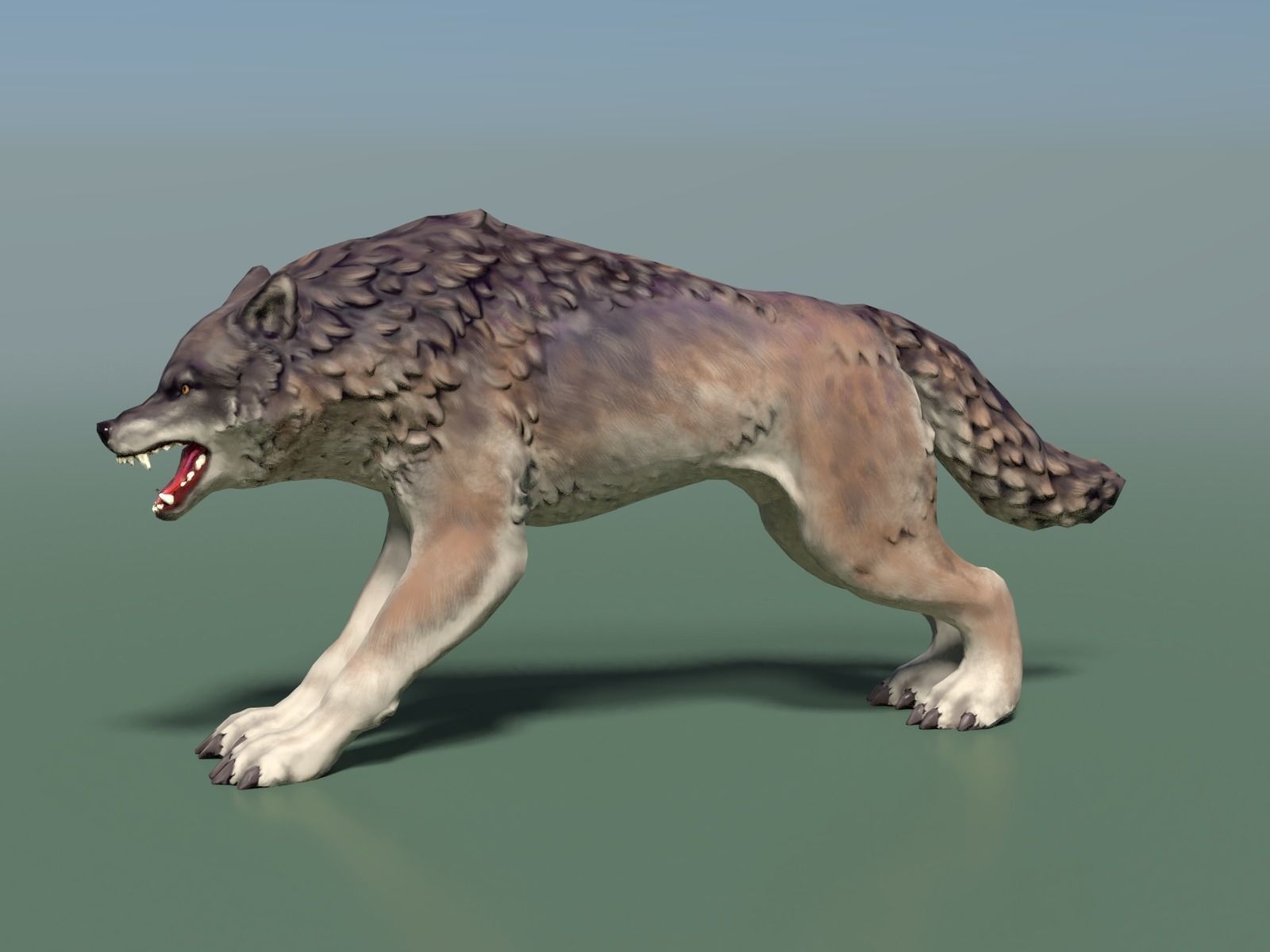 Wolf II Low Poly Low-poly 3D model_12