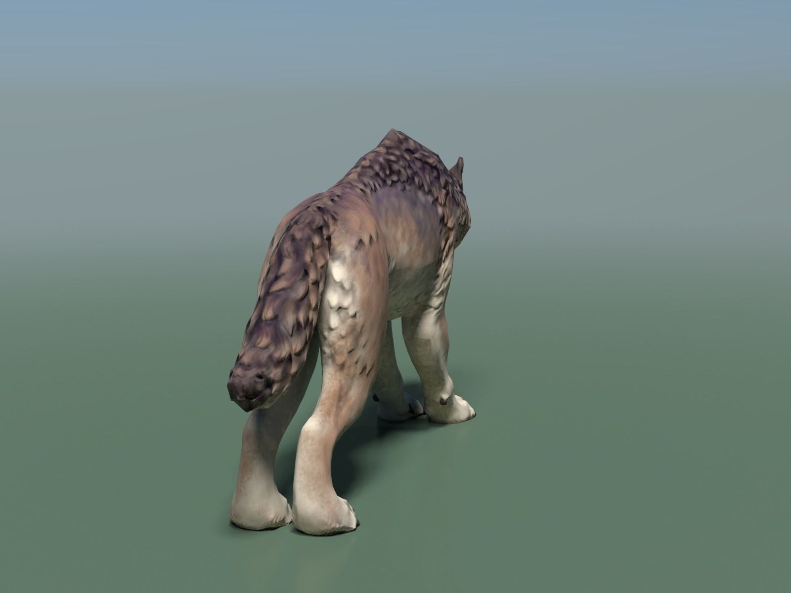 Wolf II Low Poly Low-poly 3D model_10
