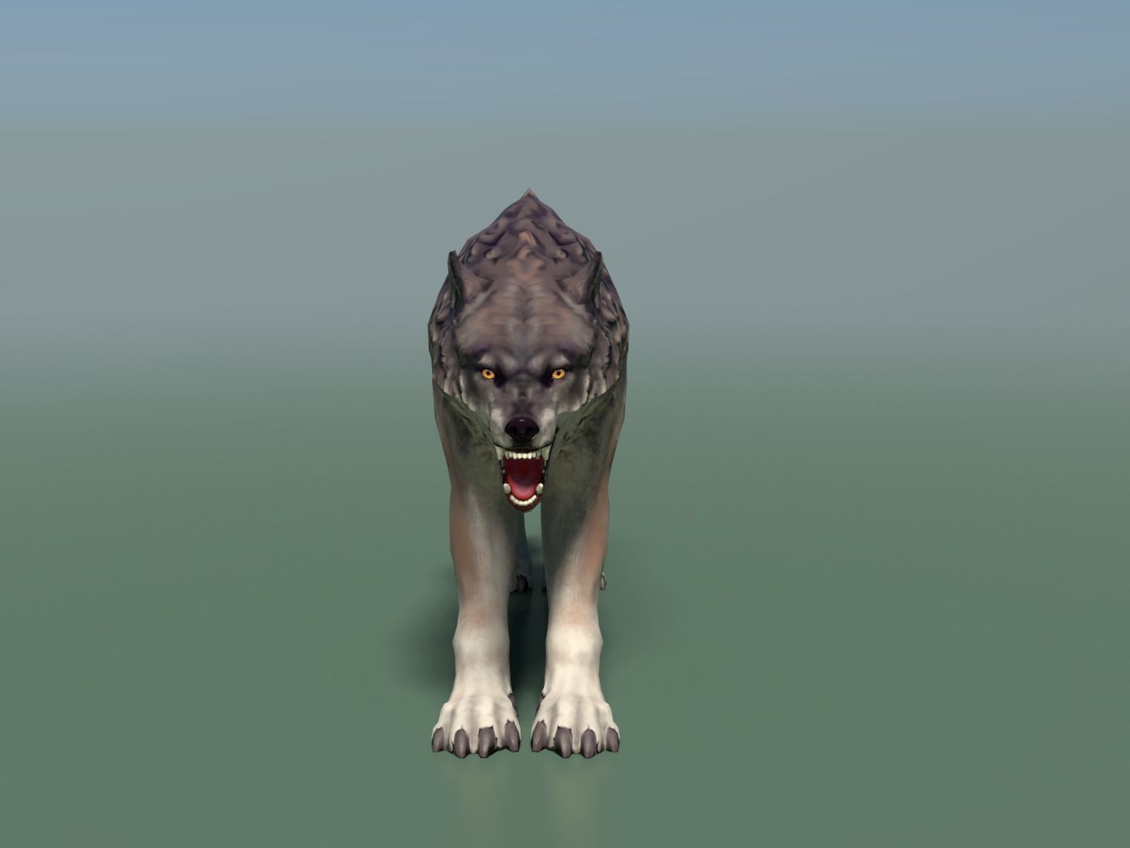 Wolf II Low Poly Low-poly 3D model_9