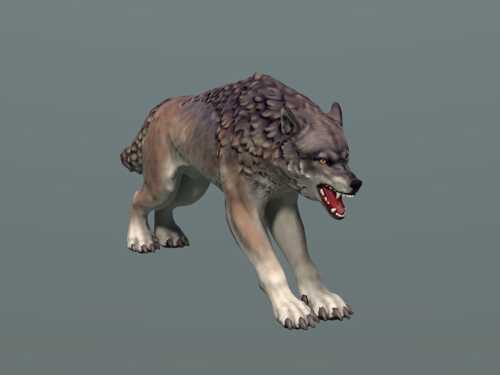 Wolf II Low Poly Low-poly 3D model_2