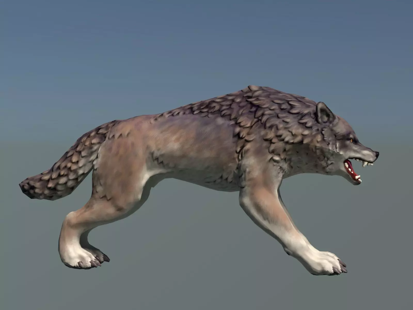 Wolf II Low Poly Low-poly 3D model_0