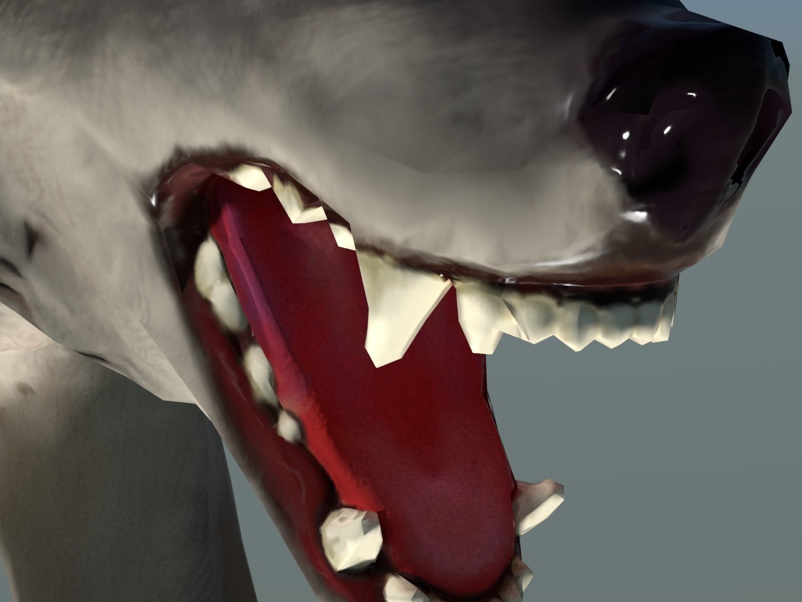 Wolf II Low Poly Low-poly 3D model_5