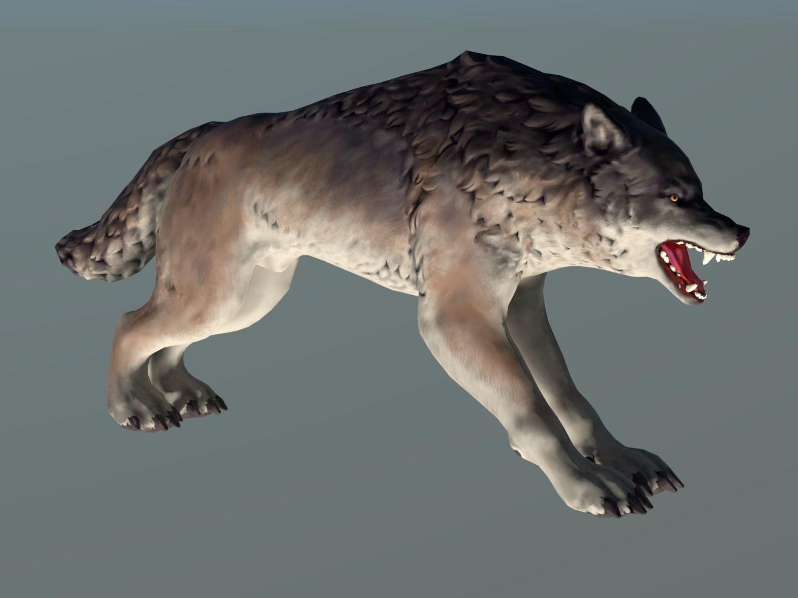 Wolf II Low Poly Low-poly 3D model_15