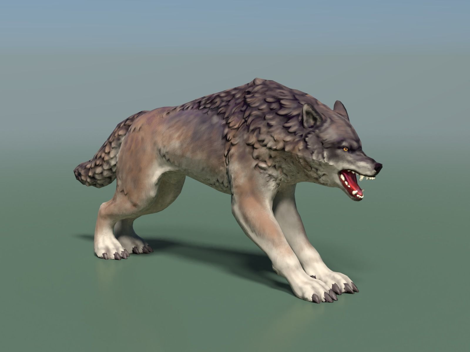 Wolf II Low Poly Low-poly 3D model_4