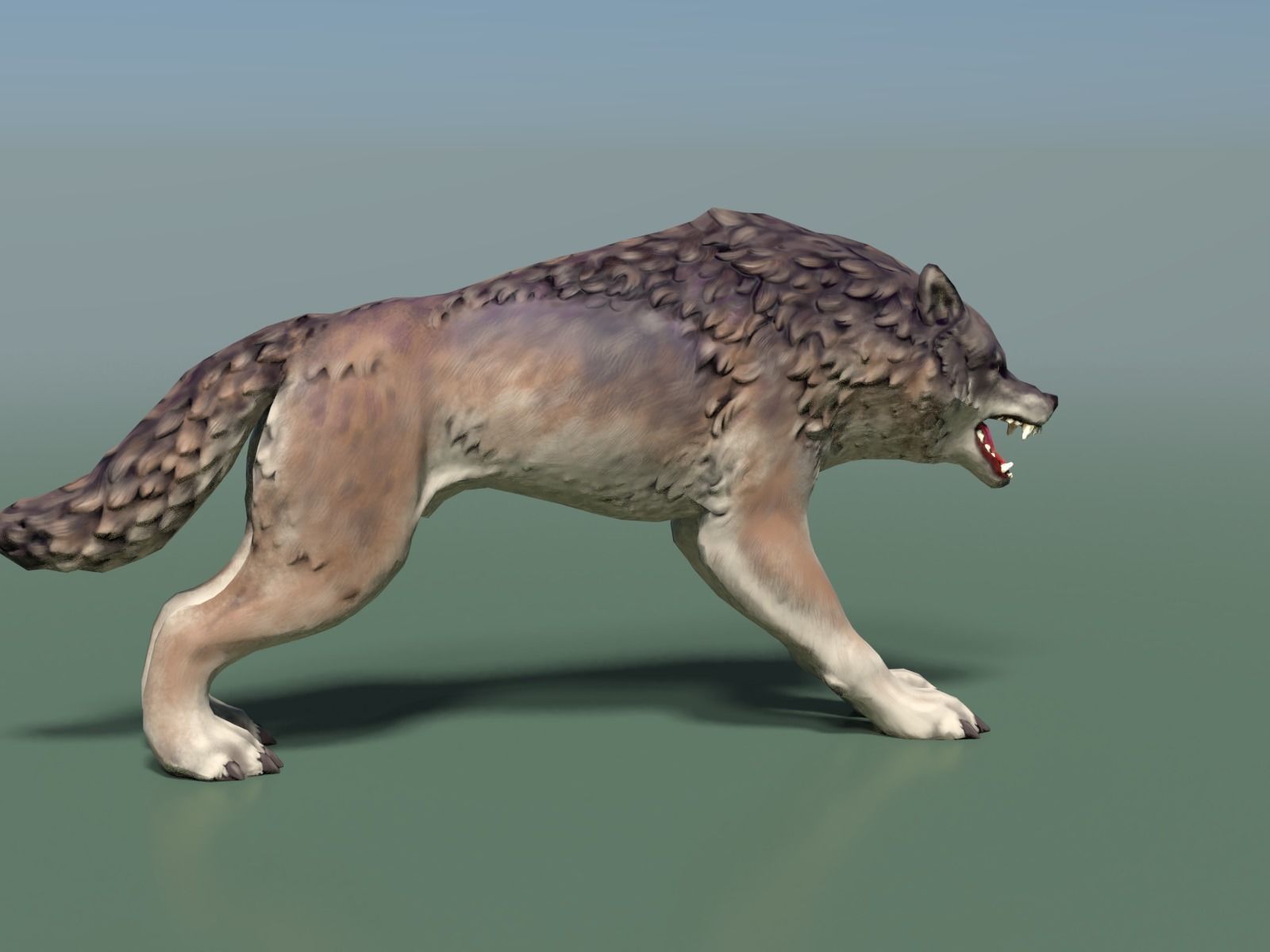 Wolf II Low Poly Low-poly 3D model_3