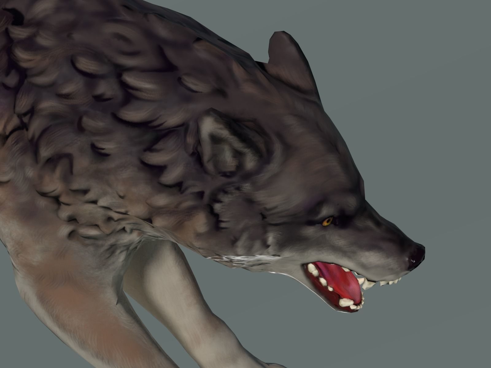 Wolf II Low Poly Low-poly 3D model_17