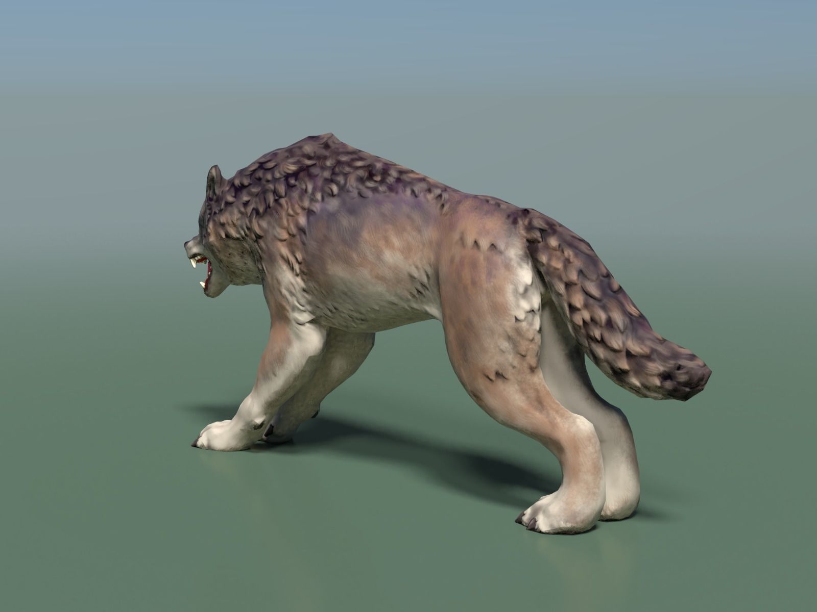 Wolf II Low Poly Low-poly 3D model_13