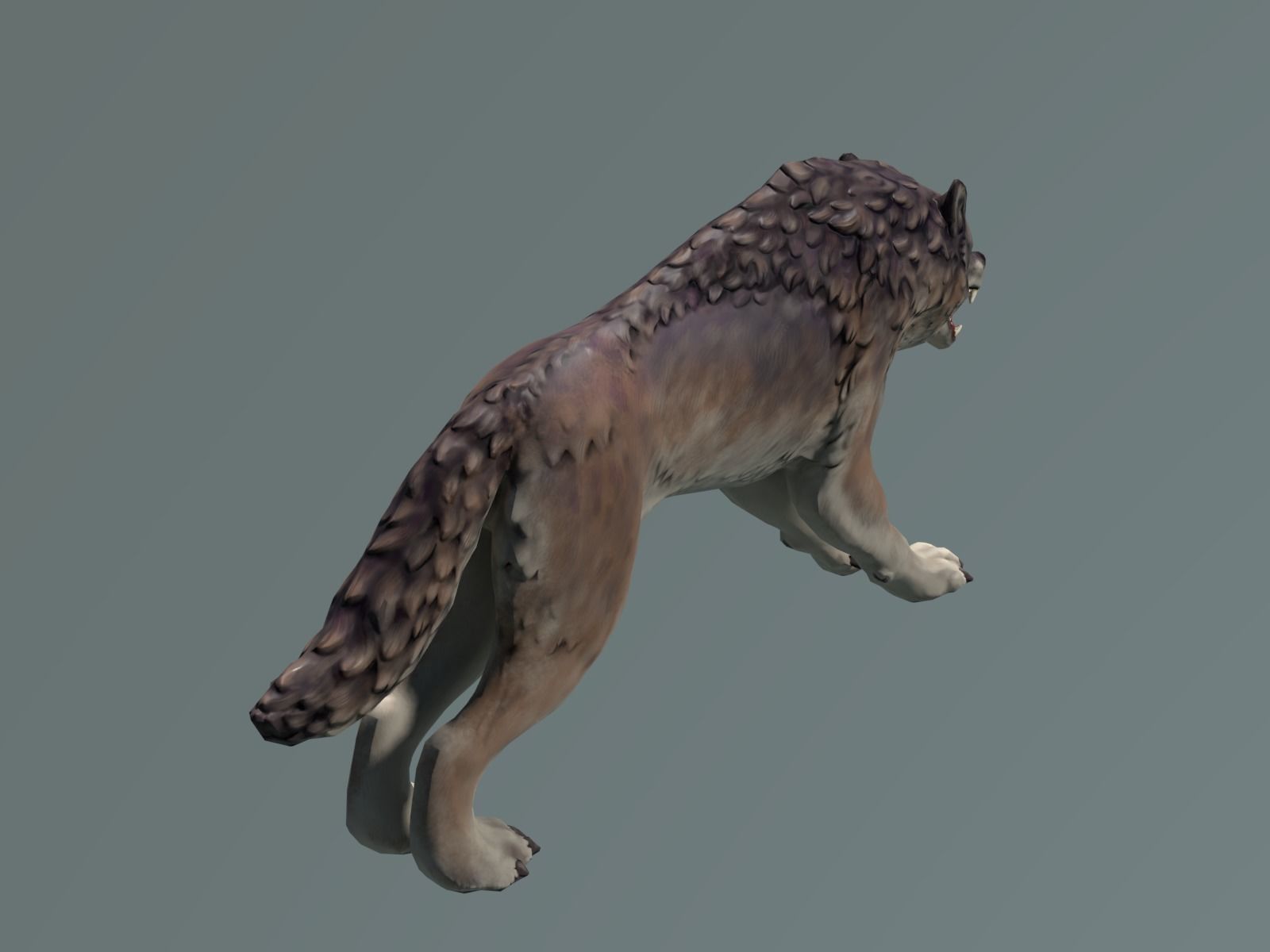 Wolf II Low Poly Low-poly 3D model_8