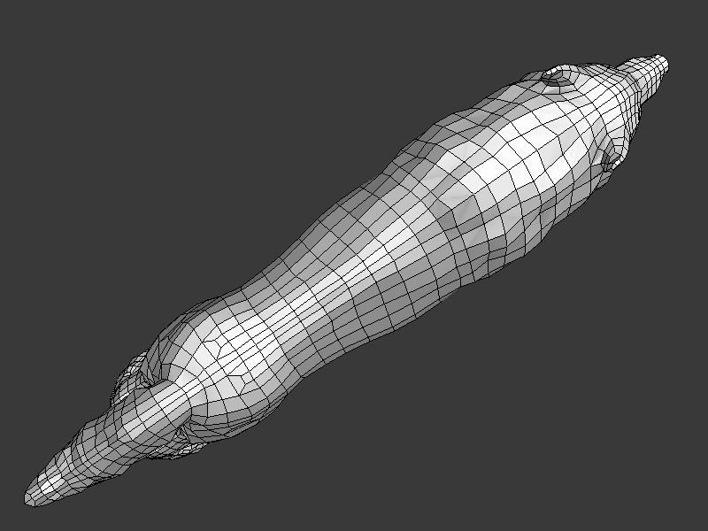 Wolf II Low Poly Low-poly 3D model_19