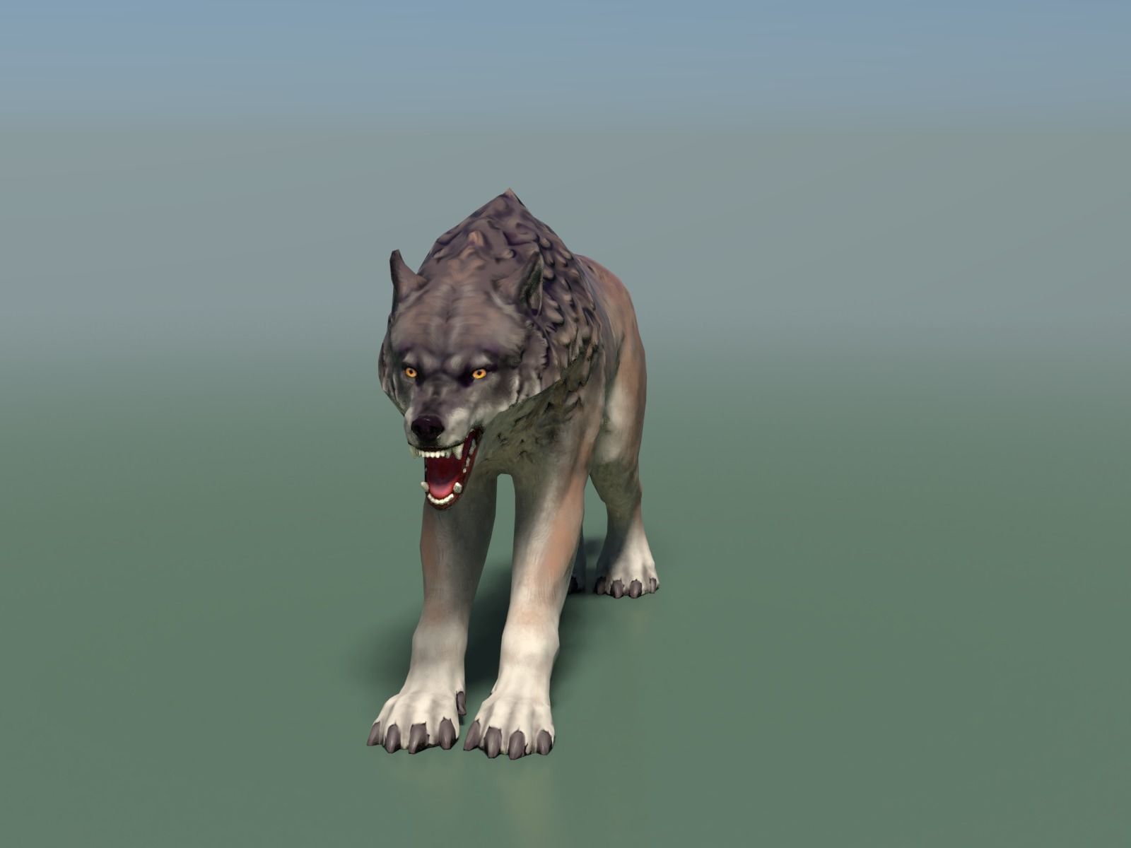 Wolf II Low Poly Low-poly 3D model_7