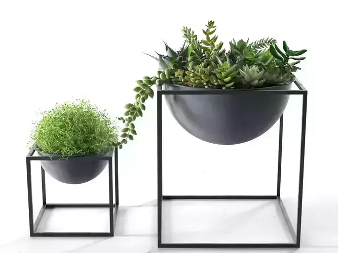 Kubus Bowls with Plants