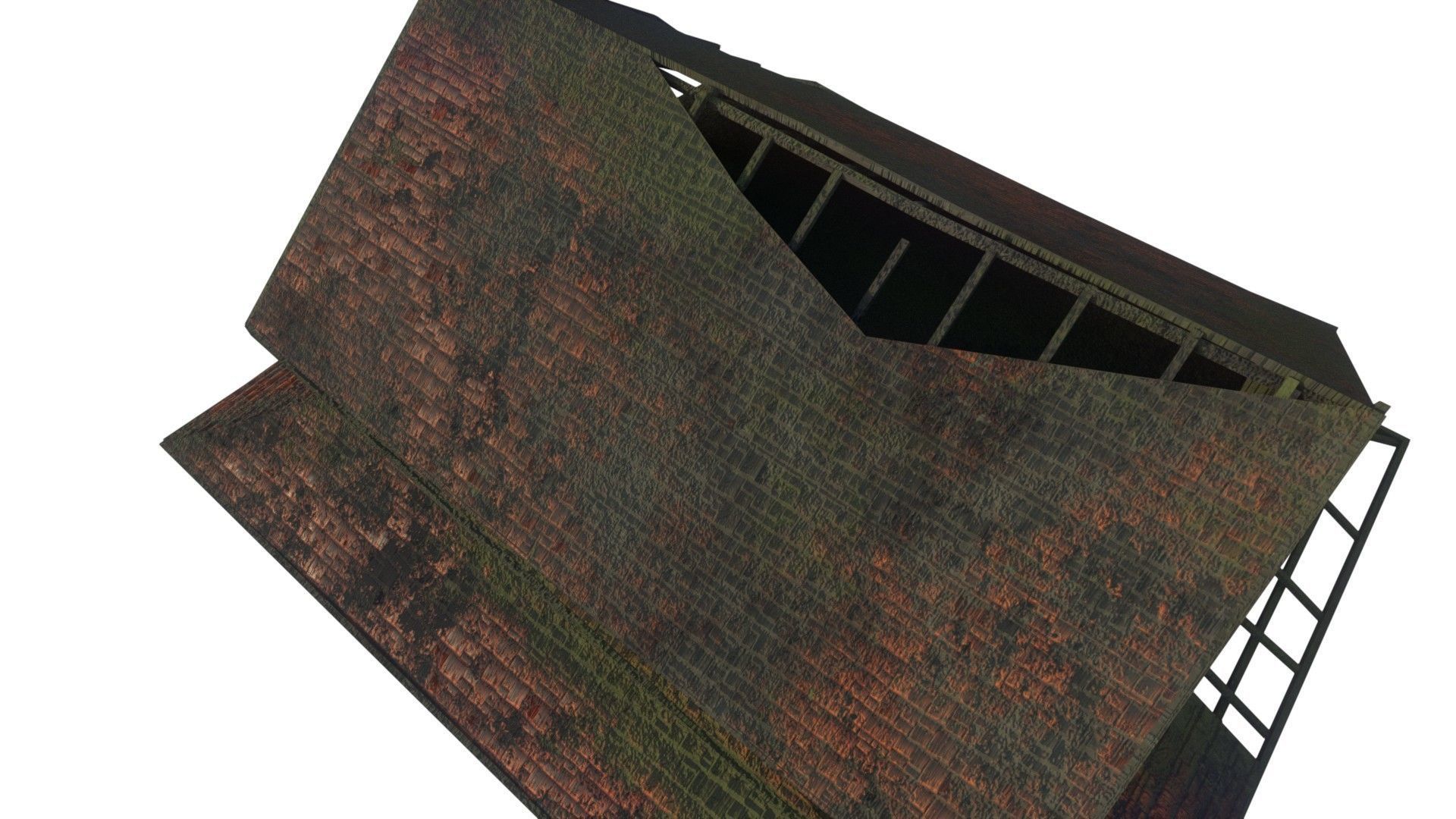 House Old Moss DM Low-poly 3D model_7