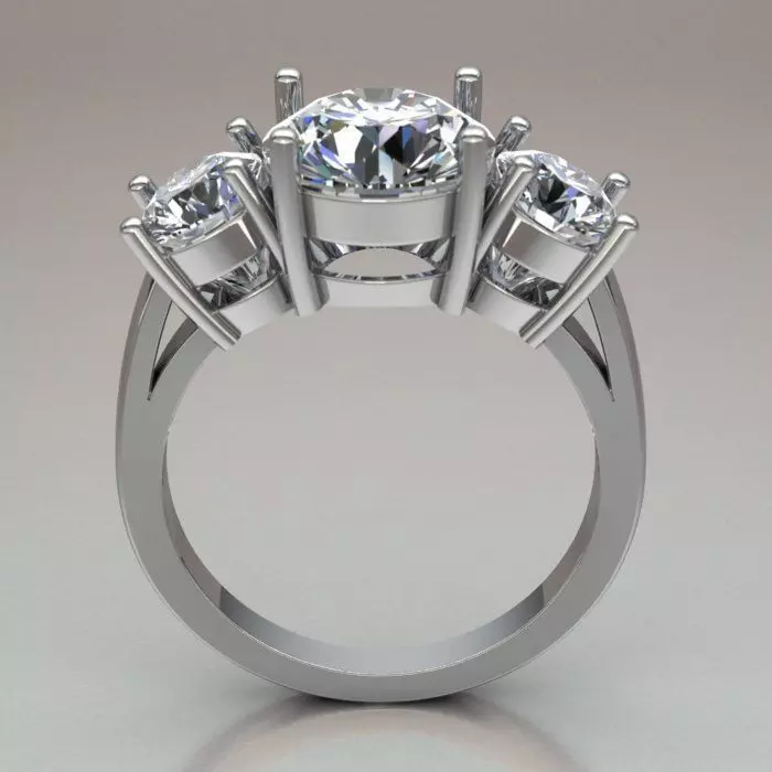 Ring Ref 193 3D print model_0