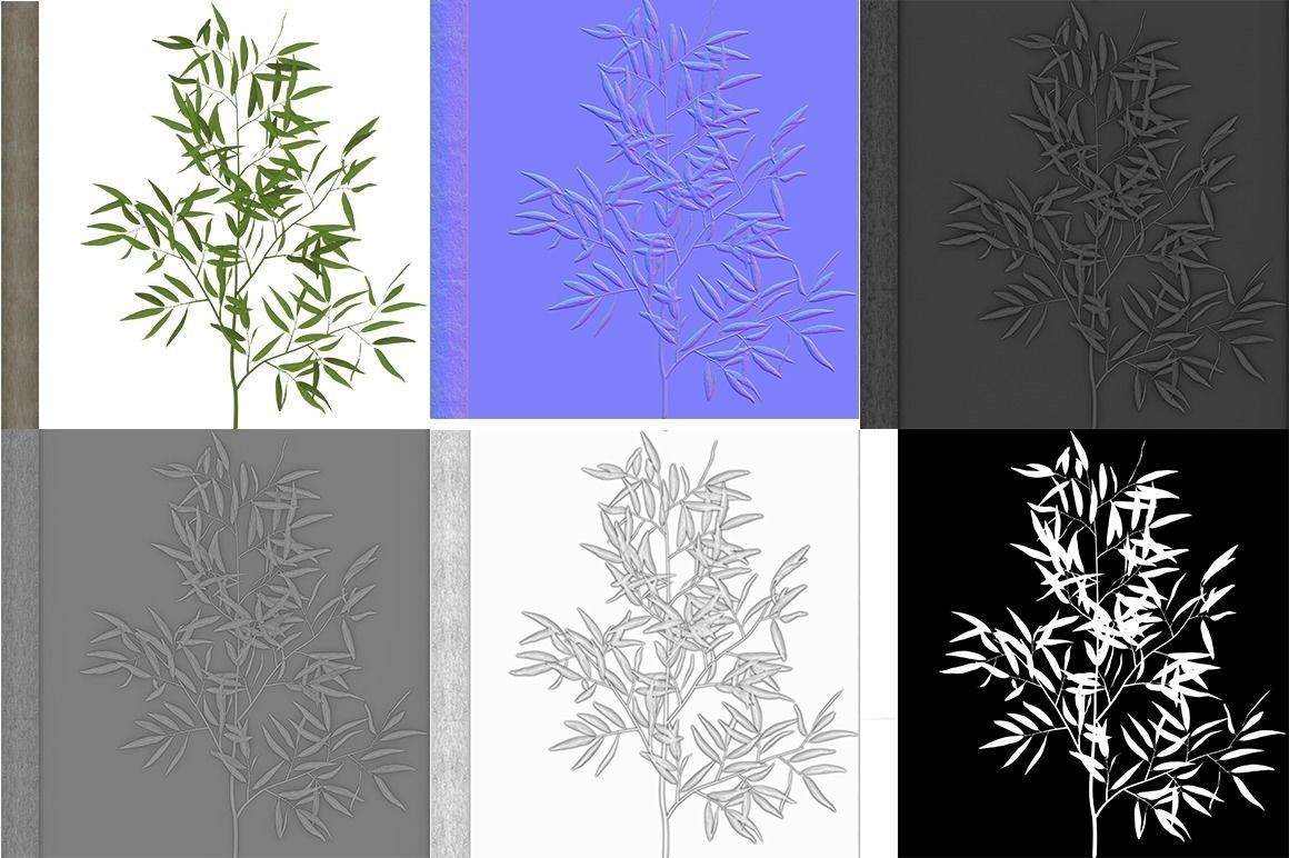 Eucalyptus tree 3 Low-poly 3D model_4