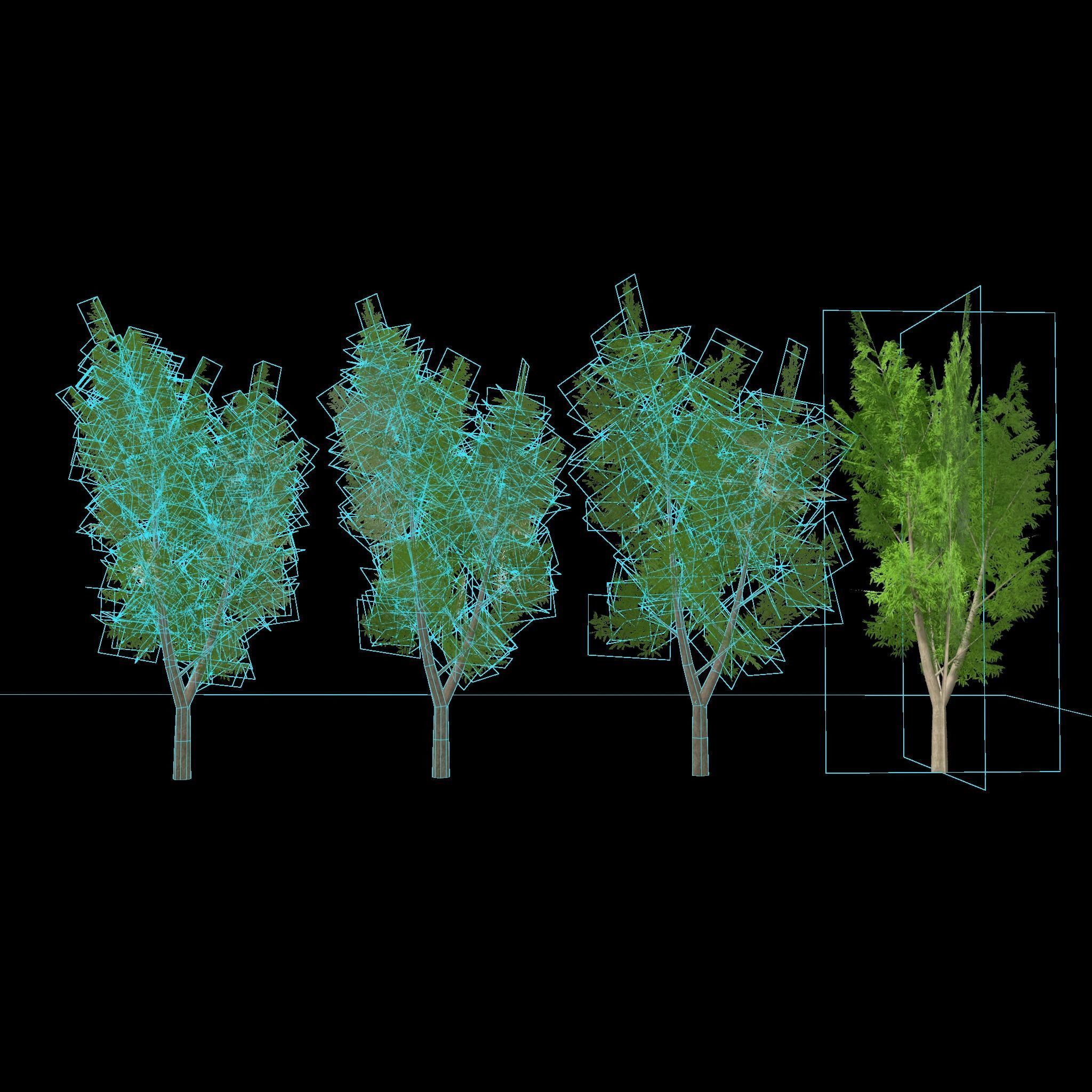 Eucalyptus tree 3 Low-poly 3D model_5