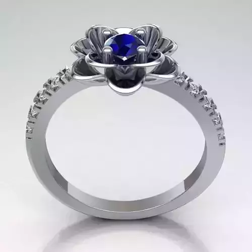 Ring Ref 204