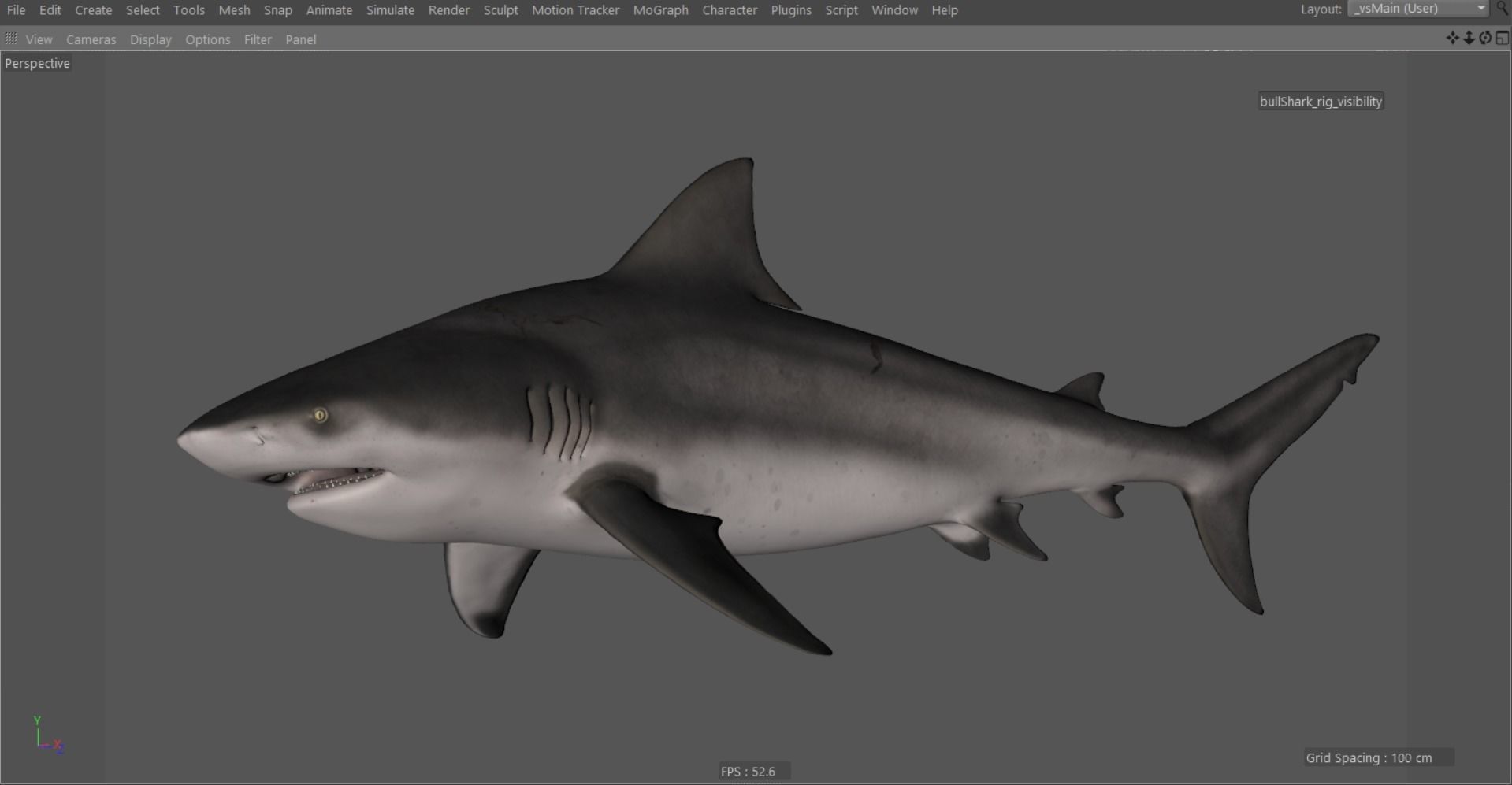 Bull shark rigged and animated for Cinema 4d  Low-poly 3D model_10