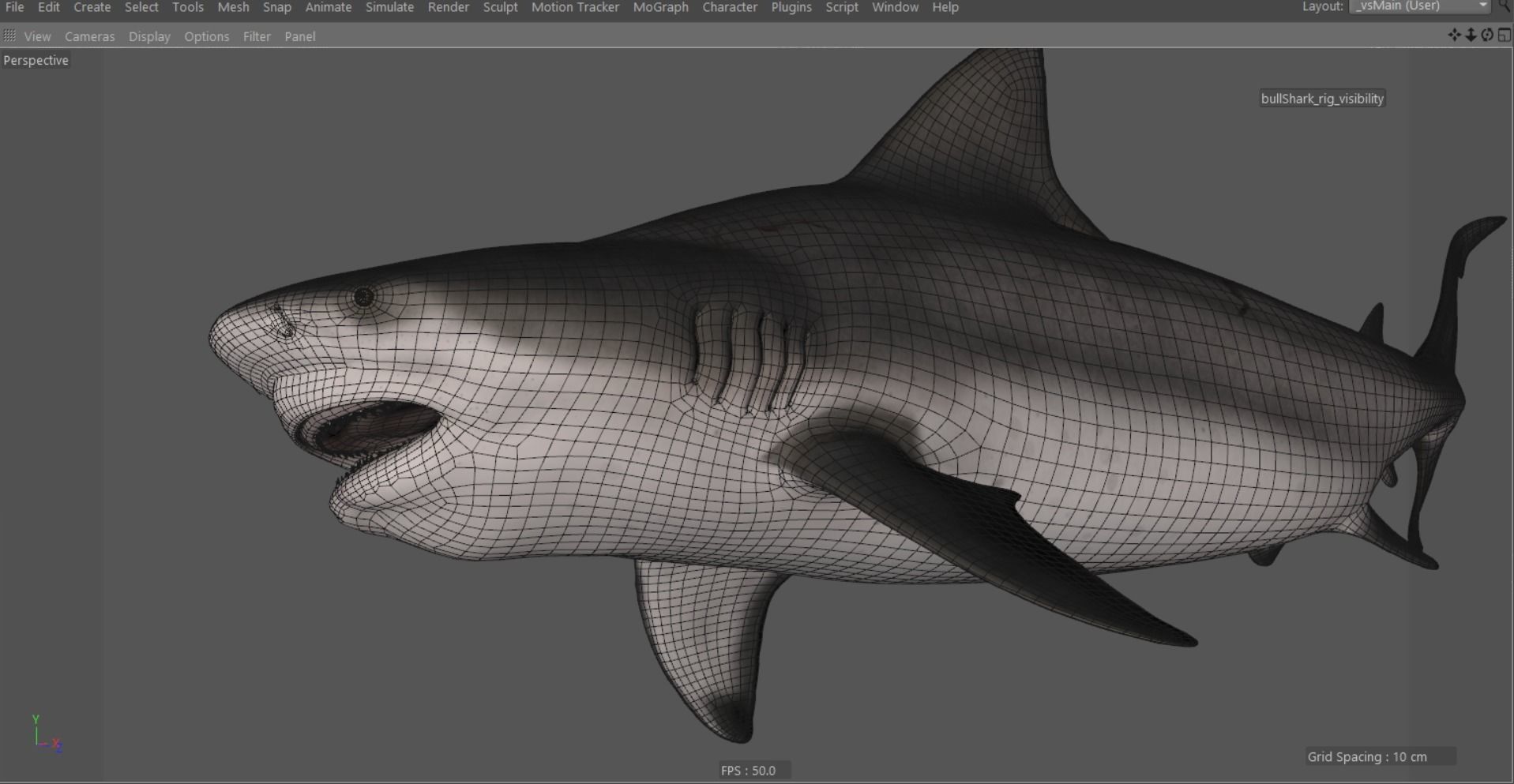 Bull shark rigged and animated for Cinema 4d  Low-poly 3D model_16
