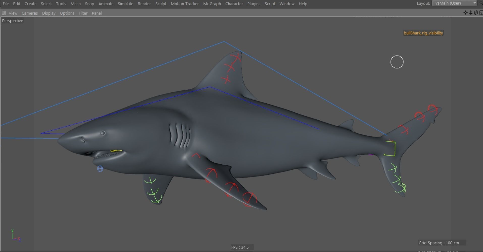 Bull shark rigged and animated for Cinema 4d  Low-poly 3D model_11