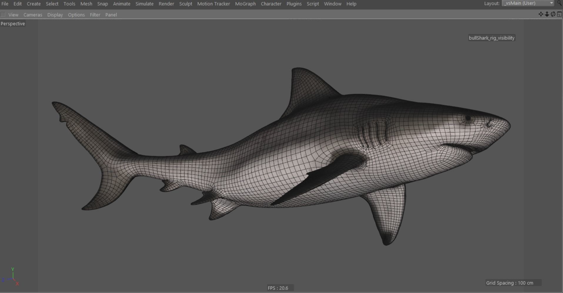 Bull shark rigged and animated for Cinema 4d  Low-poly 3D model_15