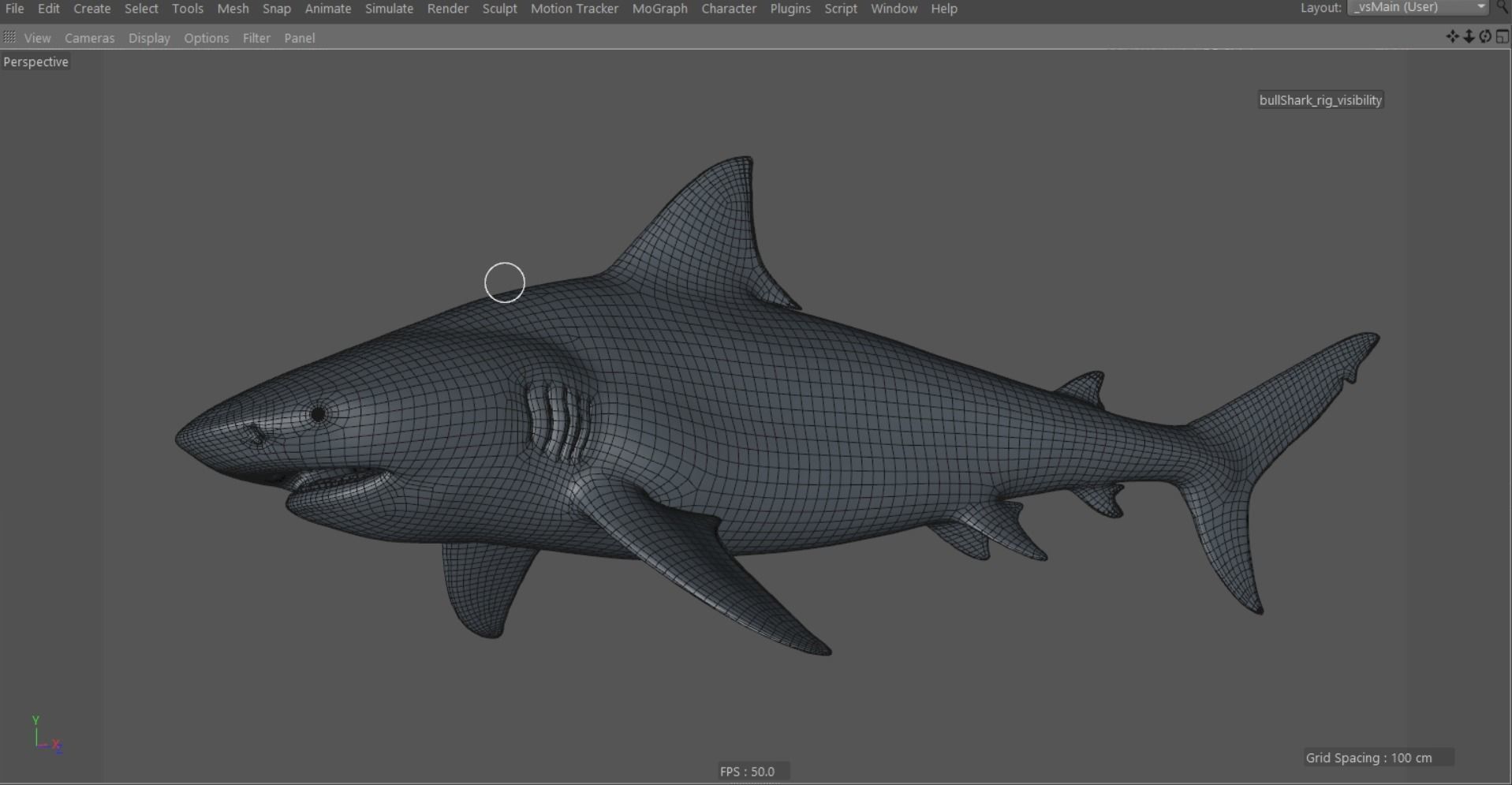 Bull shark rigged and animated for Cinema 4d  Low-poly 3D model_9