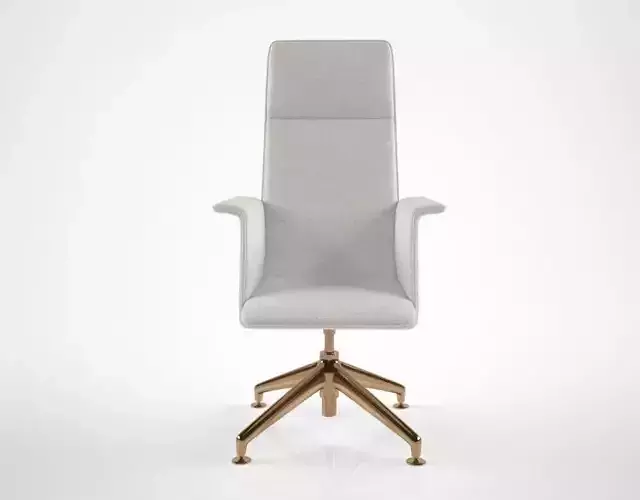 Brunnet Finasoft Conference Chair