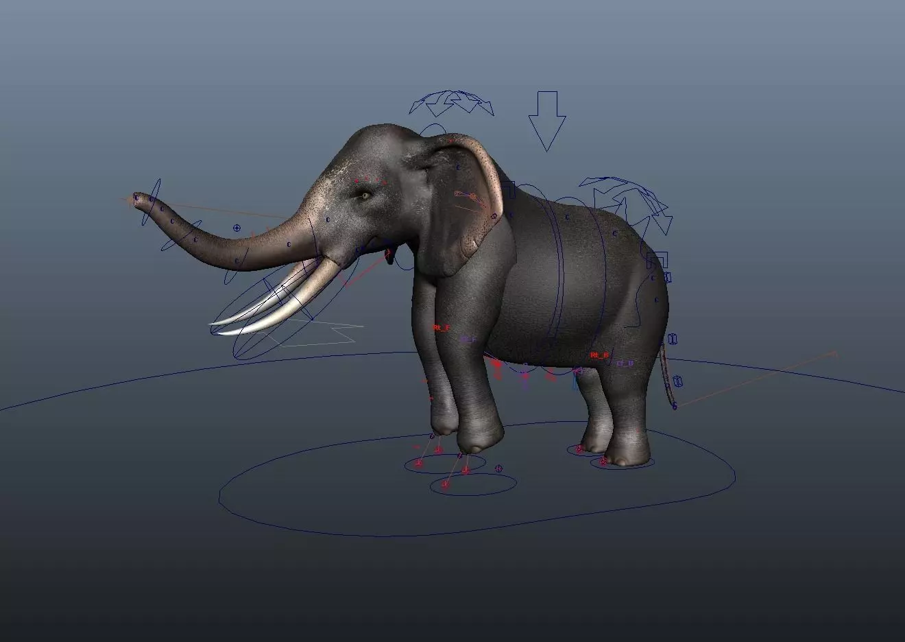 Asian Elephant Rig Low-poly 3D model