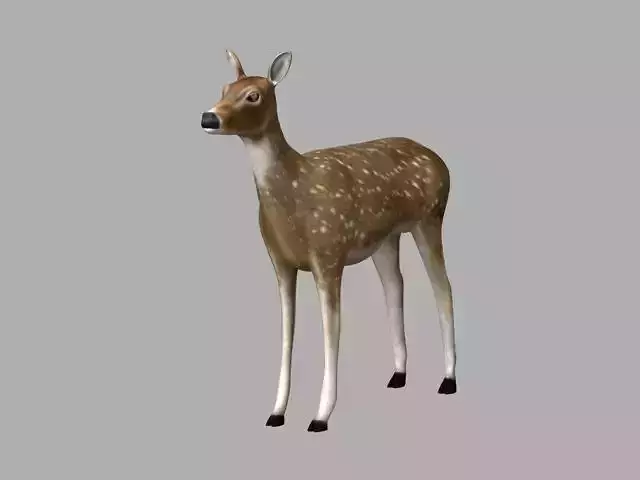 Dear Modal Low-poly 3D model