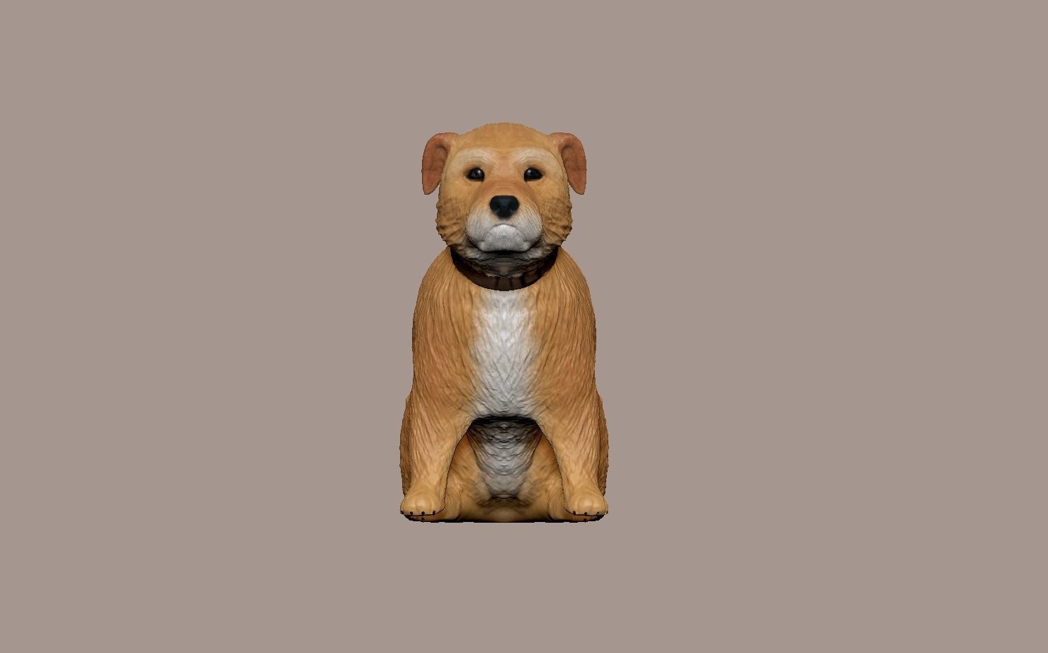 small Irish terrier 3D model_2