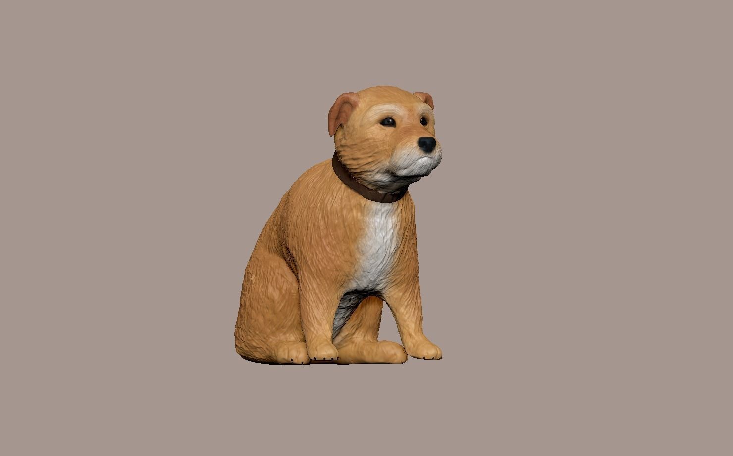 small Irish terrier 3D model_3