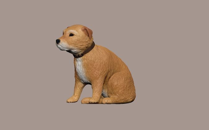 small Irish terrier 3D model