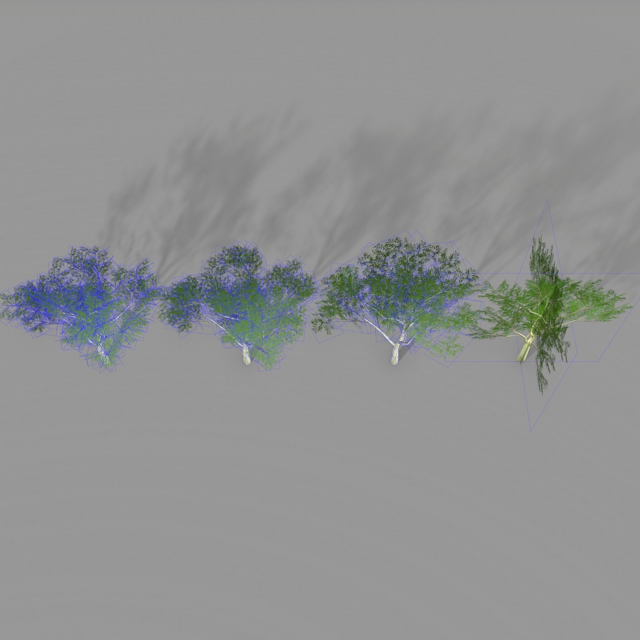 Ghost gum east Low-poly 3D model_11