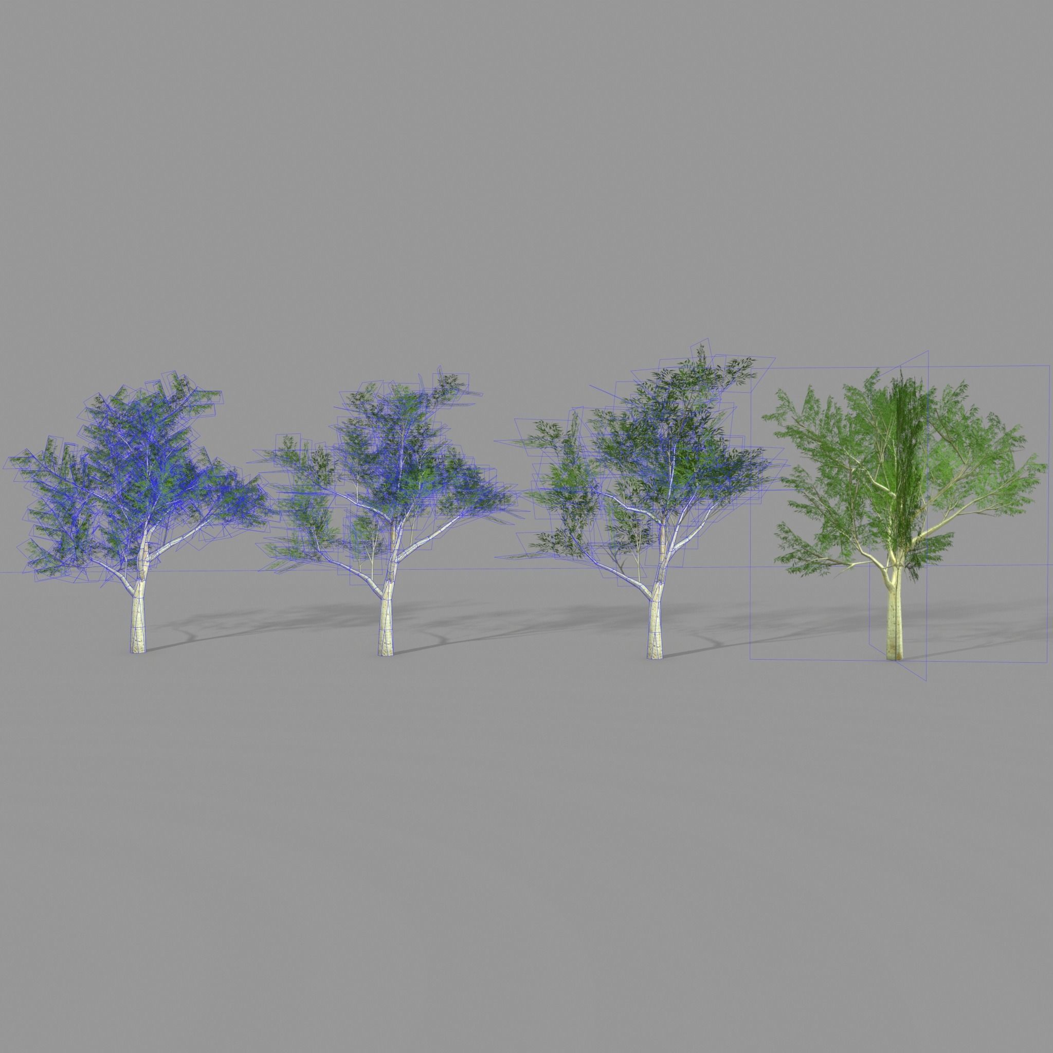 Ghost gum east Low-poly 3D model_9