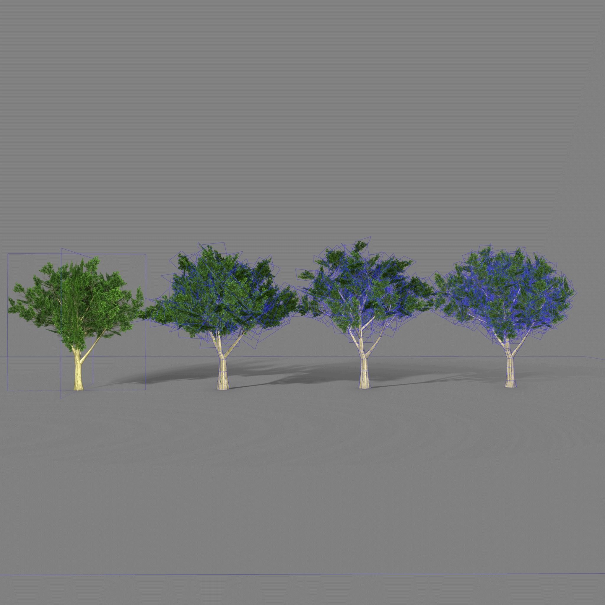 Maple four trees Low-poly 3D model_1