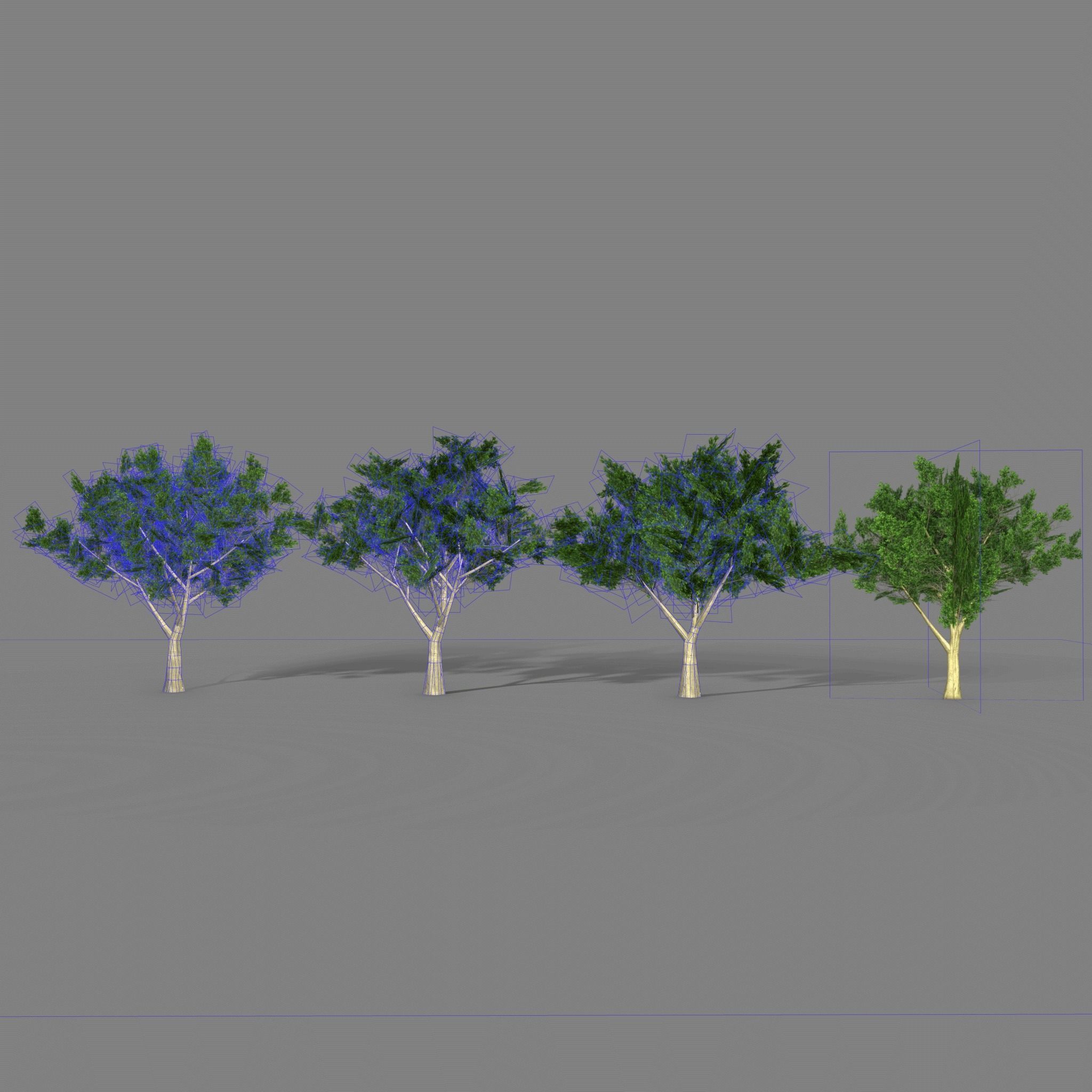Maple four trees Low-poly 3D model_8