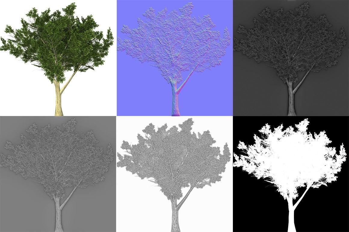 Maple four trees Low-poly 3D model_10