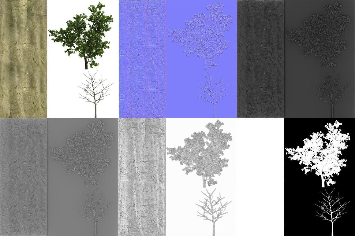 Maple four trees Low-poly 3D model_6