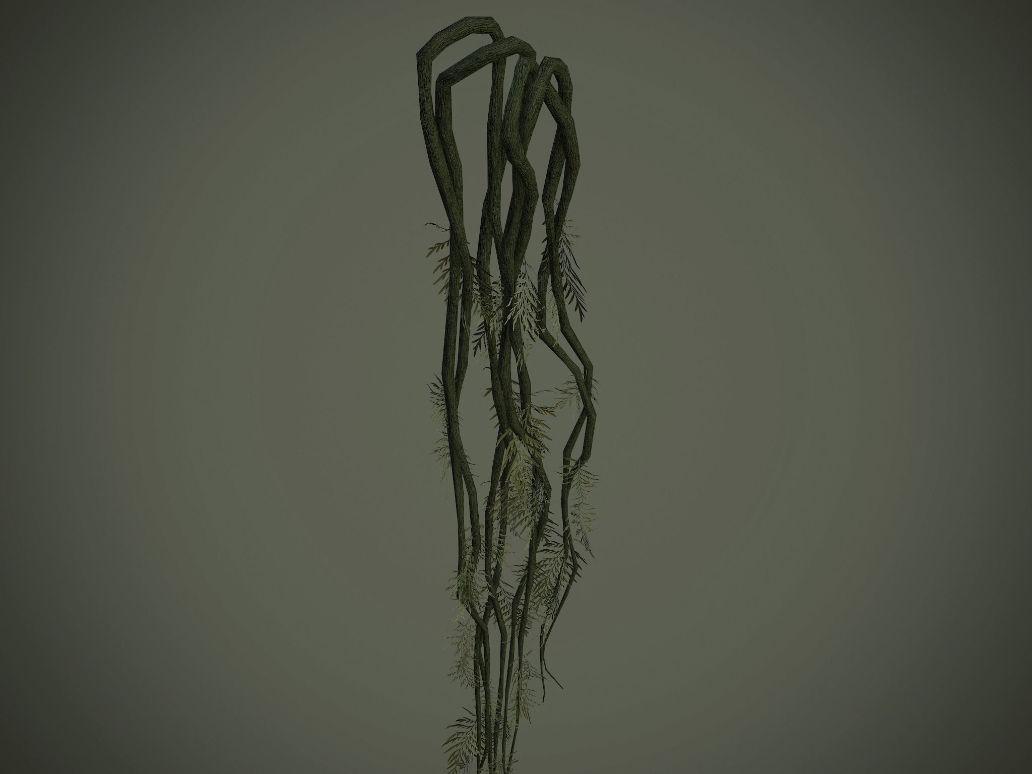 Nature Assets - Forest Vines Pack Low-poly 3D model_9