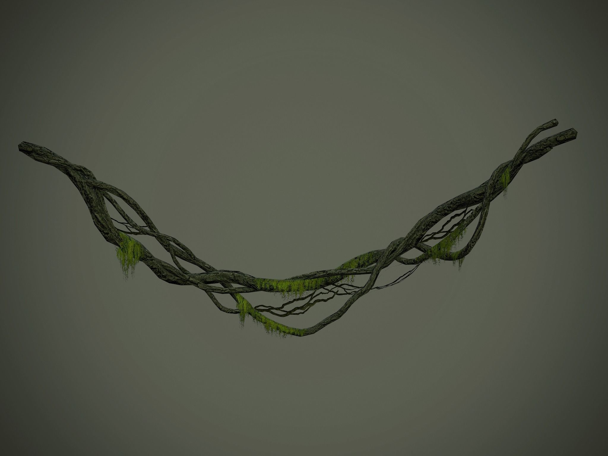 Nature Assets - Forest Vines Pack Low-poly 3D model_29