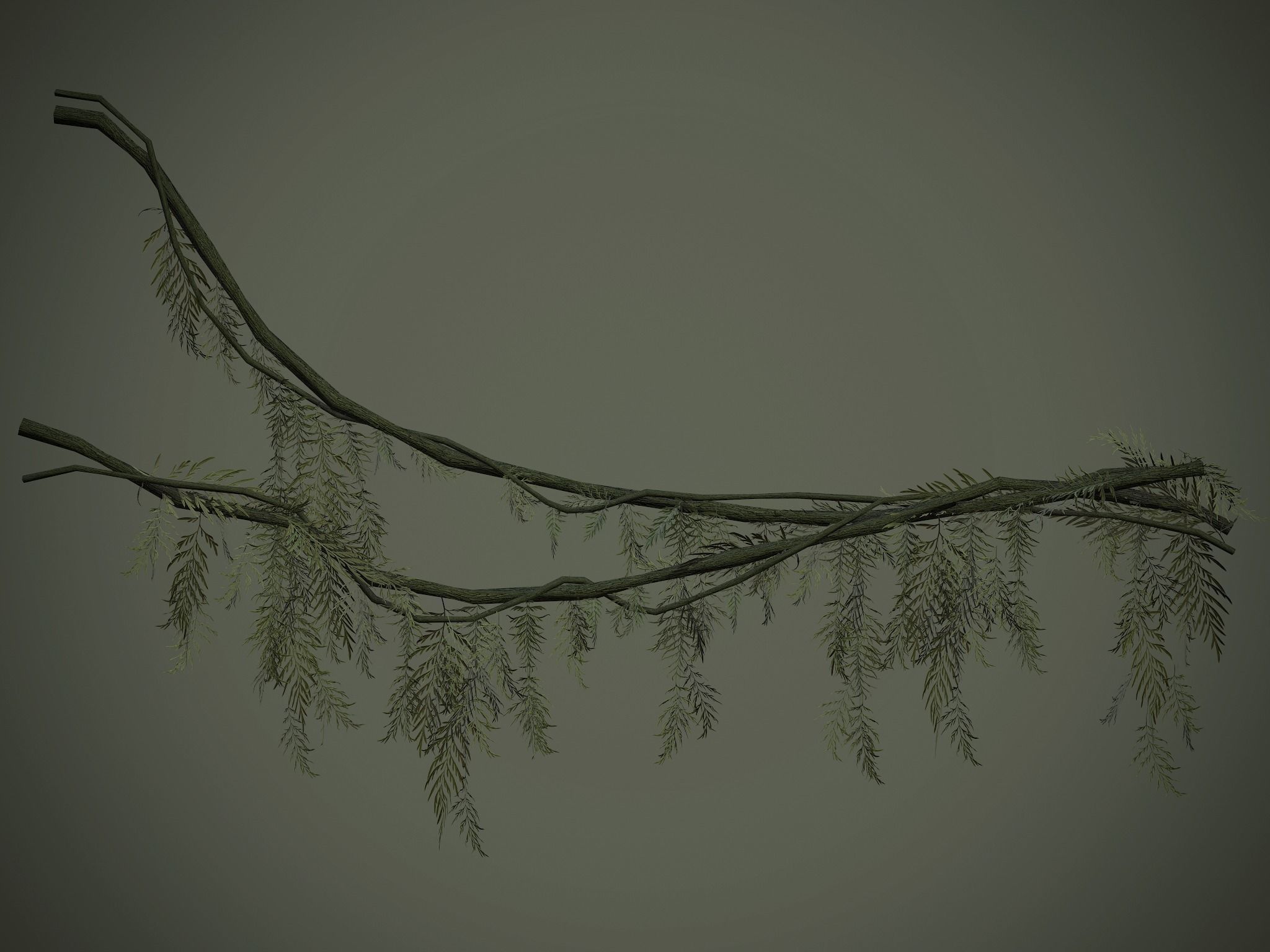 Nature Assets - Forest Vines Pack Low-poly 3D model_59