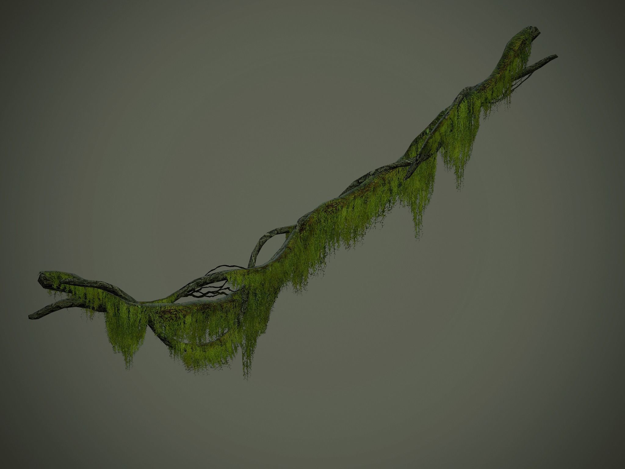 Nature Assets - Forest Vines Pack Low-poly 3D model_25