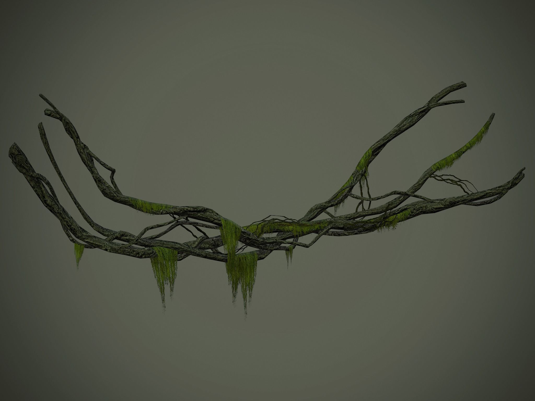 Nature Assets - Forest Vines Pack Low-poly 3D model_44