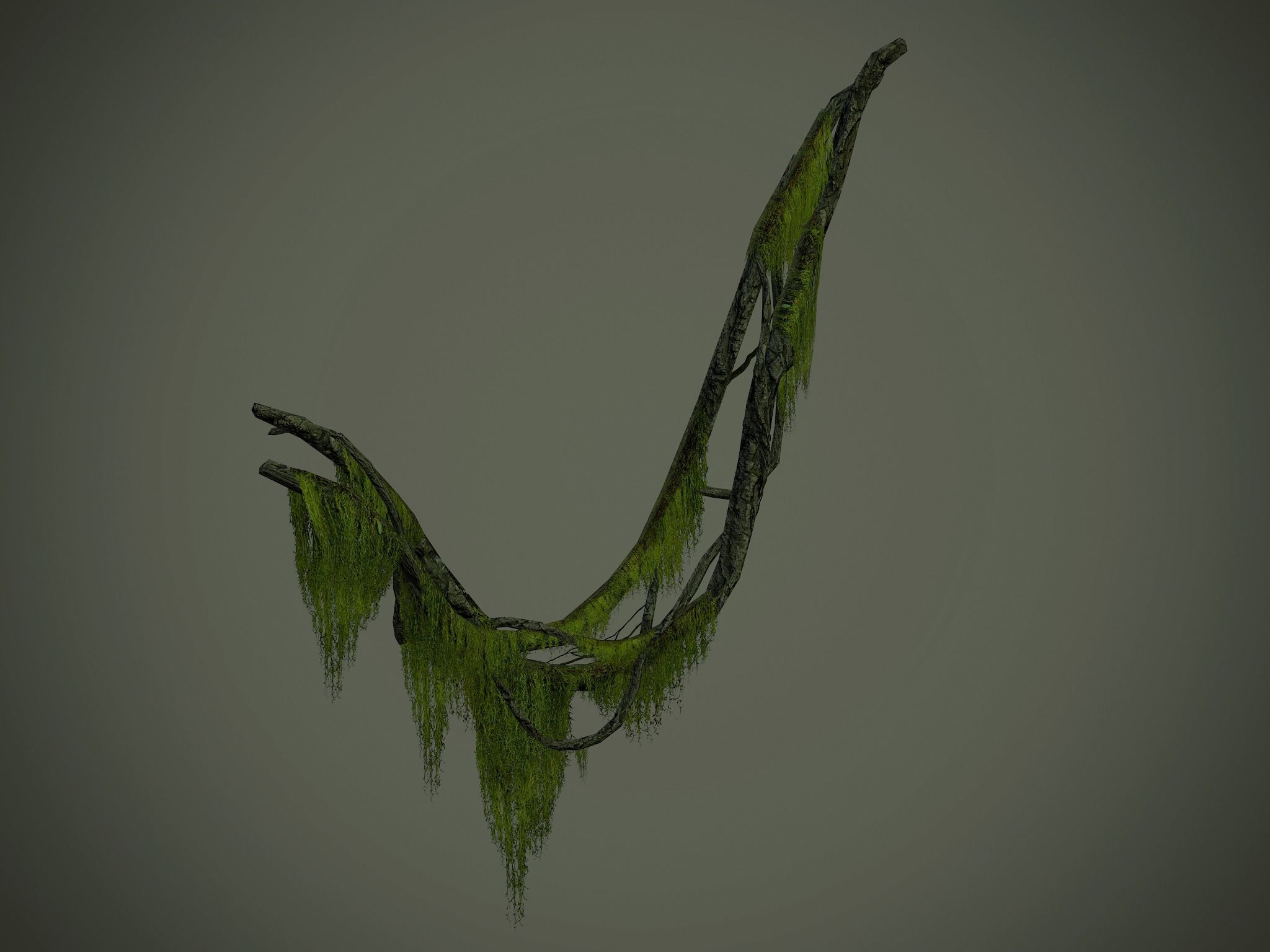 Nature Assets - Forest Vines Pack Low-poly 3D model_21